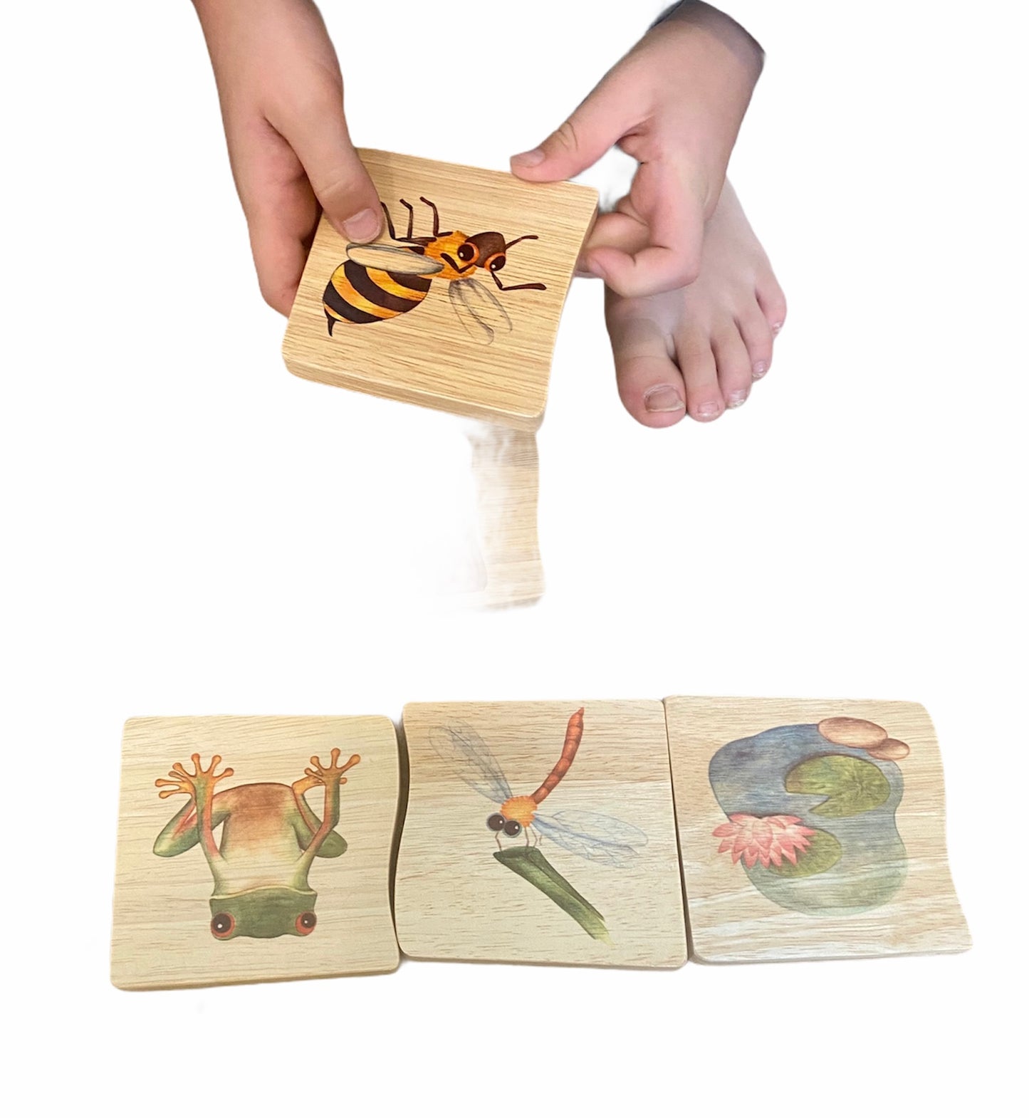 wooden-nature-matching-habitat-puzzle