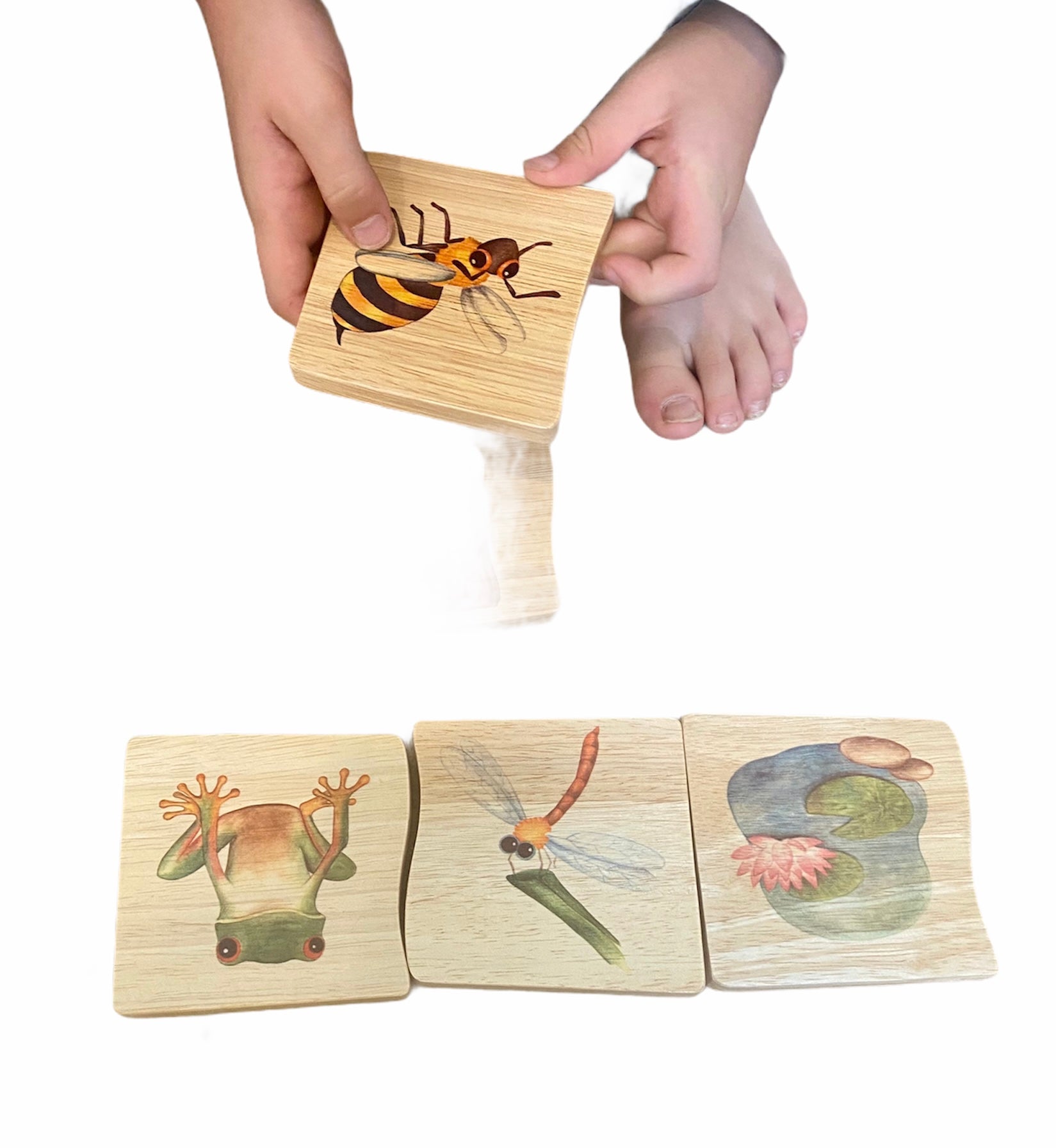 wooden-nature-matching-habitat-puzzle