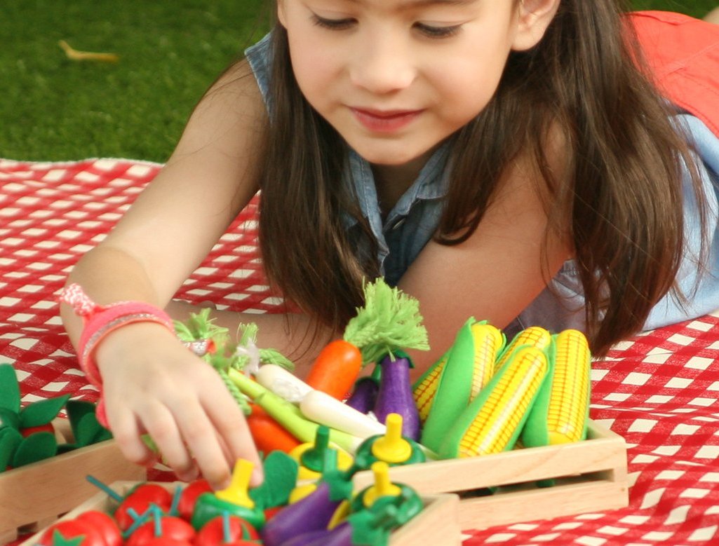 wooden-toy-vegetables- australia