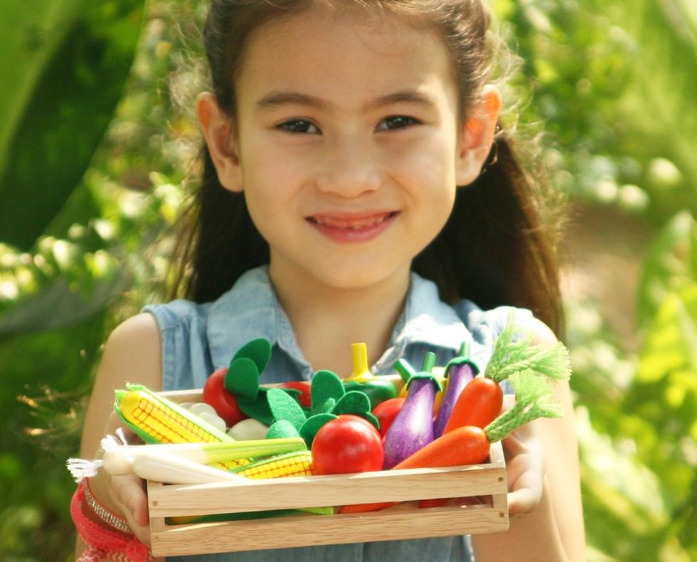 wooden-toy-play-food-veggies-australia